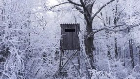 Ein guter Grund zum Jagen