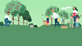 Viel Einsatz bis zur Ernte