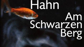 Was übel anfängt, geht auch böse aus