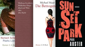 Unsere Hypotheken verdanken wir dem Staat