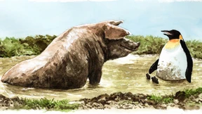 Schutz der offenen Auseinandersetzung