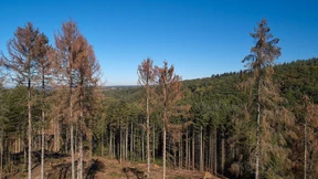 Ein Wechselbad der Bodenfeuchte