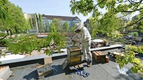 Urbane Gärtner als Revolutionäre