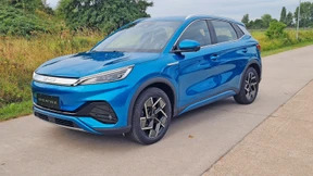 Drei Chinesen und ein wenig Kontrabass