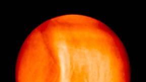 Riesenhafte Wolkenwelle auf der Venus