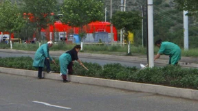 Im verbotenen schwarzen Garten