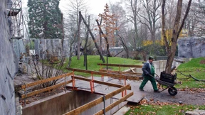 Viel Platz für Bärenmann Nobody