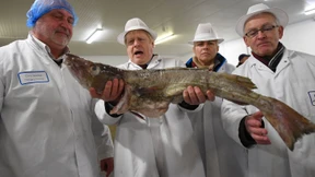 Fischversteigerung mit dem britischen Premierminister