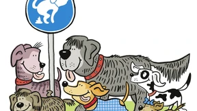 Was hinten rauskommt