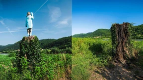 Melania-Statue wird angezündet und abgesägt