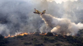Feuer im Nationalpark nahe Rom