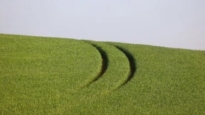 Getreidebrücke soll Ernte retten