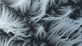 Ein Gehirn zum Teilen