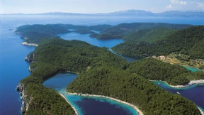 Türkis für Anfänger