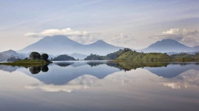 Der Tag, an dem Kanyabikingyi in seinen Wald zurückkehrte