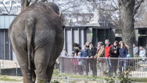 Zoo und Tierpark Berlin wieder geöffnet