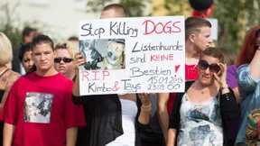 Demonstration für Kampfhunde