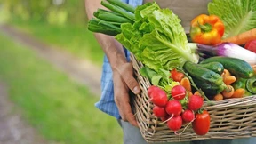 Die Inflation verschwindet nicht