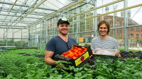 Barsche und Tomaten für die Hauptstadt