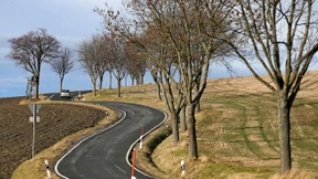 Du musst es unbedingt mit allen teilen 