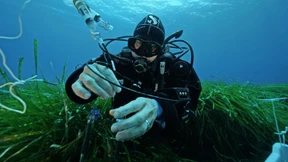 Ein süßer Schatz am Meeresgrund