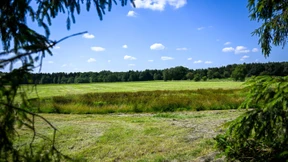 In Niedersachsen gefundene Kinderleiche ist der vermisste Arian
