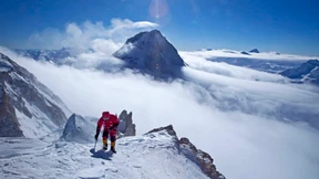 „Die Natur hat gewonnen“