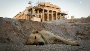 Aufatmen in Athen über neue Milliardenhilfen