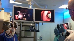 Eine kostspielige Verstümmelung