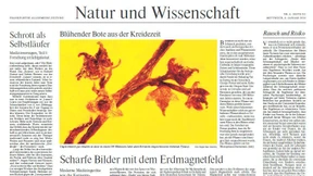 Kernspins tanzen im Erdmagnetfeld