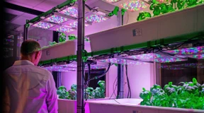 Erfolgreich anlegen – auch ohne Rüstungsaktien