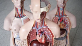 Die endlose Lust auf eine Medizin-Revolution