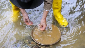 Süchtig nach dem Goldfund