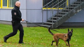 Schulen und Kita nach Amokdrohung geschlossen