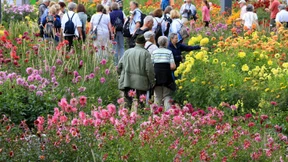 Finanzielle Obergrenzen für die Landesgartenschau 