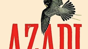 Mit dem Knüppel kritisieren