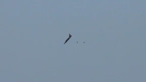 Aktivisten melden mindestens 42 Tote bei Luftangriffen