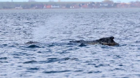 „Lieber Herrgott, steh uns bei“