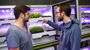 Farmer der Großstadt