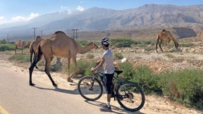 Radtour mit Dromedar