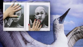 Begegnung mit dem anderen