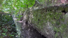 Frische Luft für den Darmbach