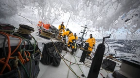 Die Bändiger der Meere