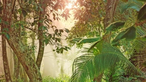 Die Grenzen der Plausibilität