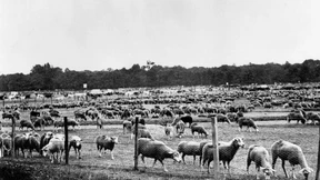 Paris vor der Belagerung