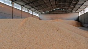 „Wir stehen zur Erntezeit vor einem sehr großen Problem“