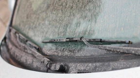 Frost und Blutregen trüben das Wochenende