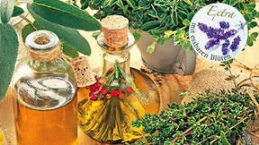 Zu viel Petersilie schadet der Gänseleber