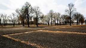 Schotterfeld und Totenacker