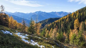 Bei der braucht’s doch keine Frisur!